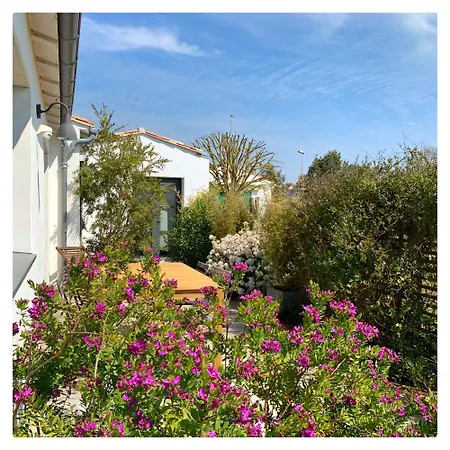 Les Petites Terres Bed & Breakfast Sainte-Marie-de-Re