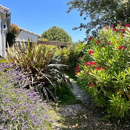 Bed & Breakfast Les Petites Terres *