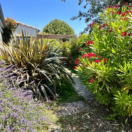 Les Petites Terres Sainte-Marie-de-Ré