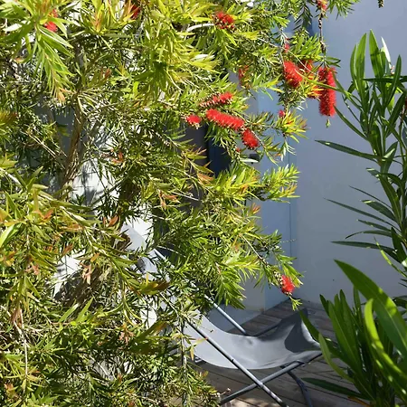 Les Petites Terres 3* Sainte-Marie-de-Ré