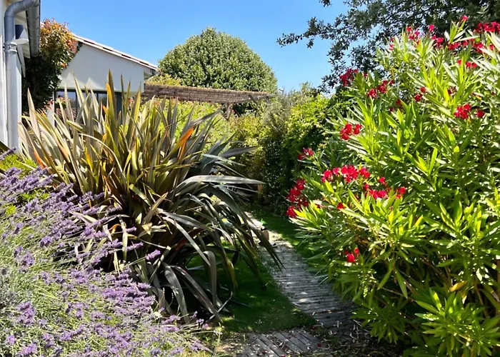 Bed & Breakfast Les Petites Terres 3*