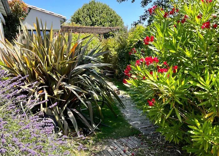 Les Petites Terres Sainte-Marie-de-Re