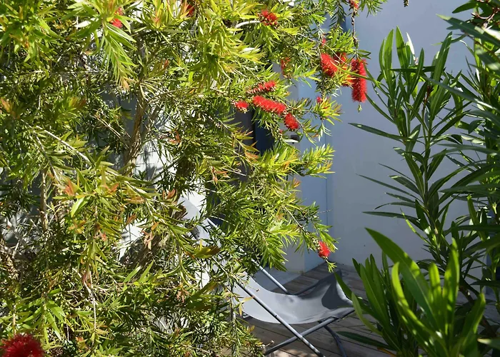 Les Petites Terres 3* Sainte-Marie-de-Re